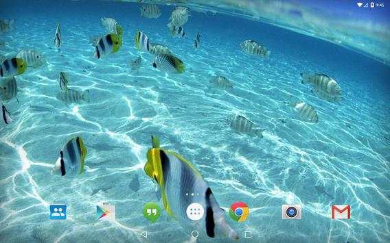 Caribe Island Ocean Tropic screenshot 10