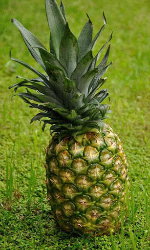 Pineapple Wallpaper screenshot 4