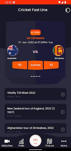Cricket Fast Line screenshot 3