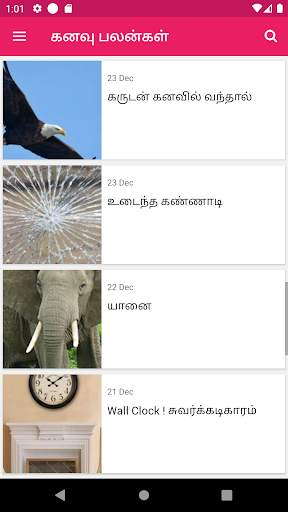 Kanavu Palangal Tamil screenshot 3