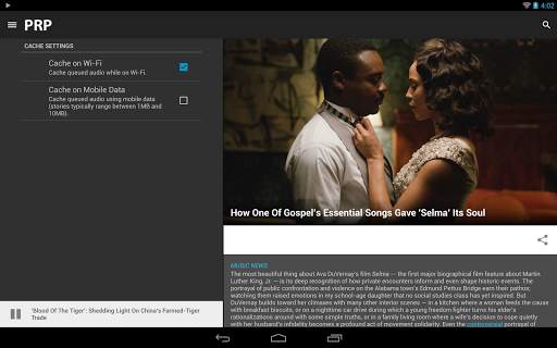 Public Radio Player screenshot 17