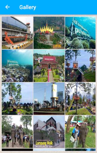 RentCars - Rental Mobil Lampung скриншот 4