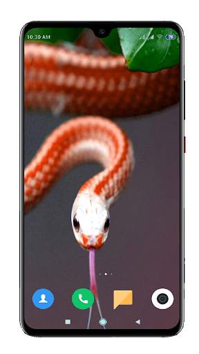 Snake Wallpaper HD screenshot 6