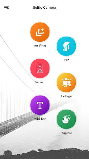 Selfie Camera - Collage, PIP, Art Filters screenshot 1