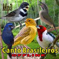 Canto de Pássaros Brasileiros on 9Apps