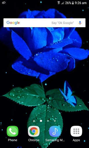 Blue Rose Beauty LWP screenshot 3