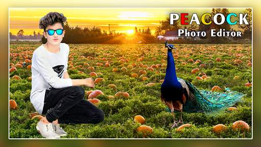Jeweled Peacock Photo Frame screenshot 3