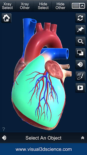 My Heart Anatomy screenshot 3