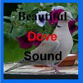 Beautiful Dove Sounds 1.0