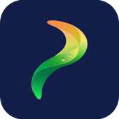 PAYIMS icon