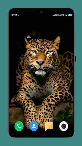 Wild Animal Wallpaper 4K 2 تصوير الشاشة
