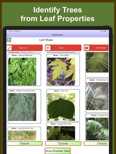 Forest Tree Identification скриншот 7