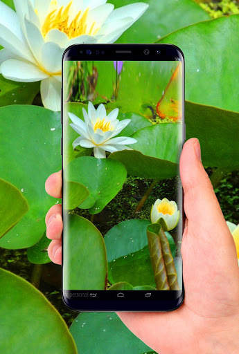 Lotus 3D Live Wallpaper screenshot 6