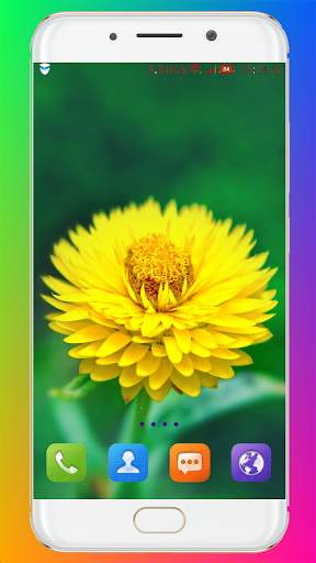 Flower Wallpaper HD screenshot 8