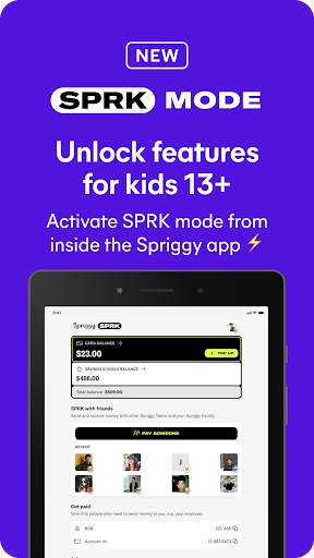 Spriggy Pocket Money स्क्रीनशॉट 10