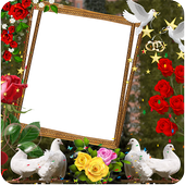 Love Birds Insta DP : Image Editor icon