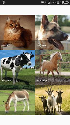 Звуки домашних животных скриншот 1