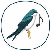 bird sounds icon
