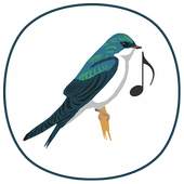 bird sounds 1.0.4