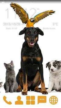 Home Animals GO Launcher Theme screenshot 2