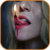 Photo Collection icon