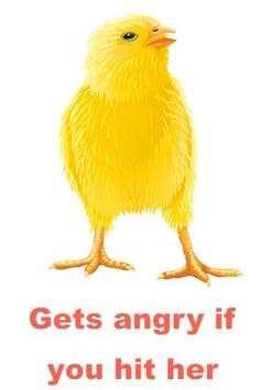 Talking Chicken screenshot 4