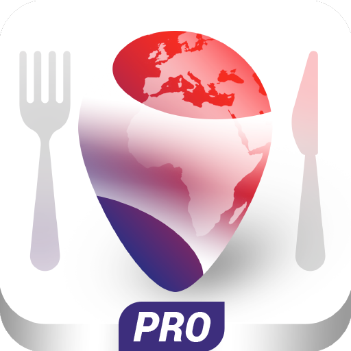 Français en Voyage PRO icon
