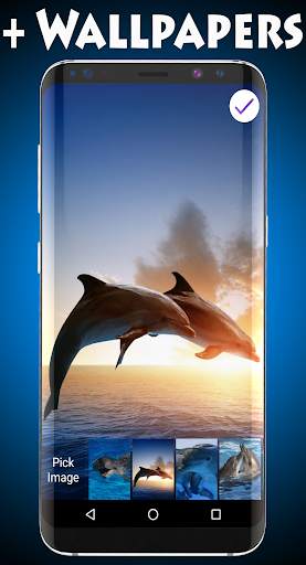 Dolphins Wallpapers & Lock screenshot 3
