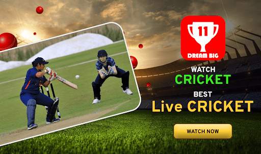 Dream Fantasy 11 - Cricket 11 screenshot 1