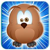 Bird Matching Games 1.0