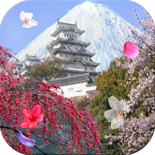3D Spring 1.0