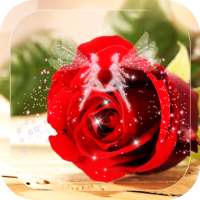 Red Rose Wallpaper logo