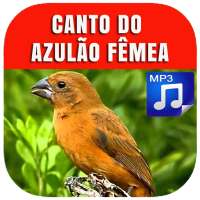Canto Do Azulão Fêmea NEW logo