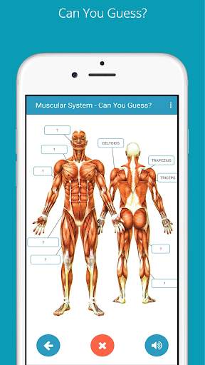Learn Human Anatomy (Human Body) screenshot 3