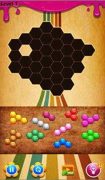 Hexa PuZZle BloCk KinG screenshot 4