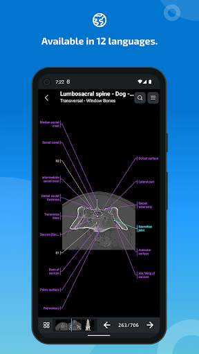 vet-Anatomy screenshot 6