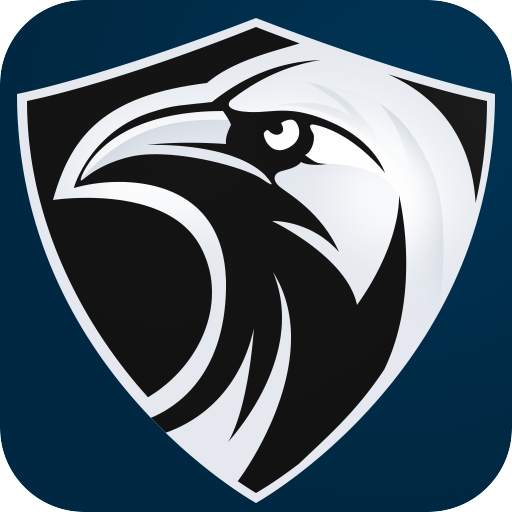 Raven Vpn 3.55-playStore
