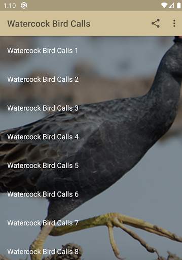 Watercock Bird Calls screenshot 1