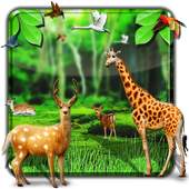 Forest HD Live Wallpaper 1.0.6