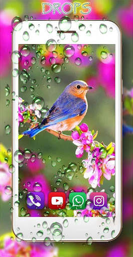 Beauty Birds स्क्रीनशॉट 5
