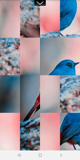 Puzzle Pic - Animal Edition screenshot 3