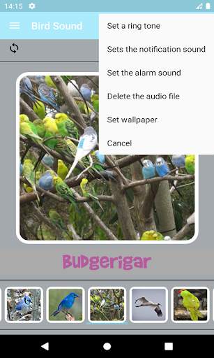 Bird Sounds screenshot 8