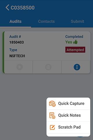 NSF Mobile Audit скриншот 2