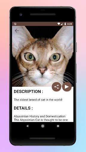 Animal World A-Z Collections screenshot 3