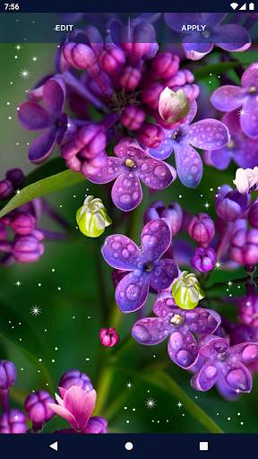 Flower Blossom Live Wallpaper screenshot 6