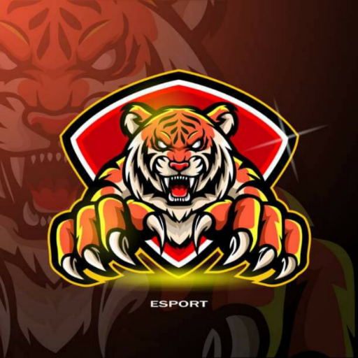 BD TIGER VPN icon