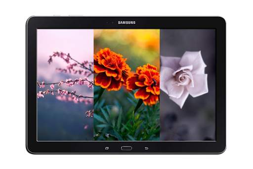 Flowers Wallpapers Ultra HD - Flowers 4K Wallpaper screenshot 9