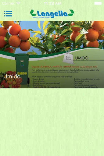 Langella Mario srl screenshot 3
