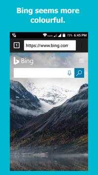 Next browser screenshot 5