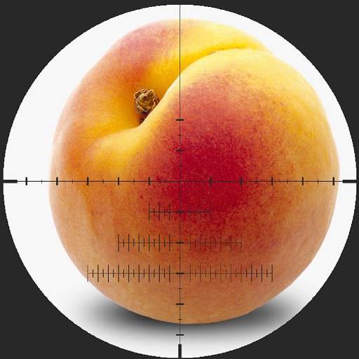 Sniper Scope 1.0.0